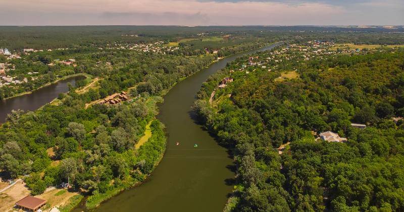 Freepik/Oleksandr Ryzhkov